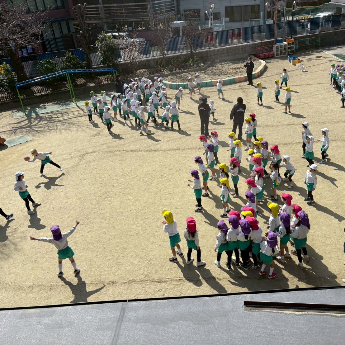 園ちょこ日記の写真