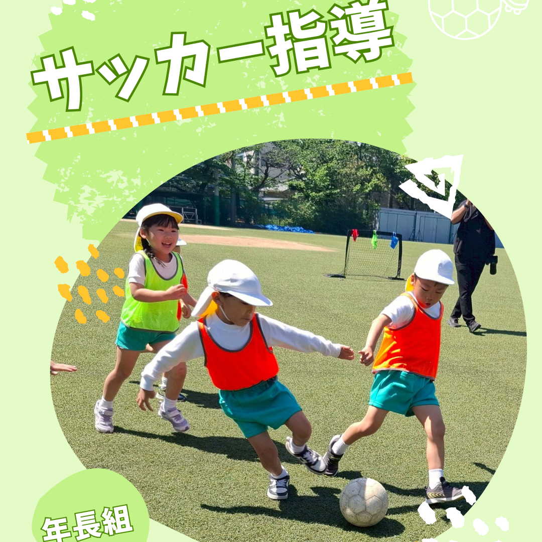 園ちょこ日記の写真