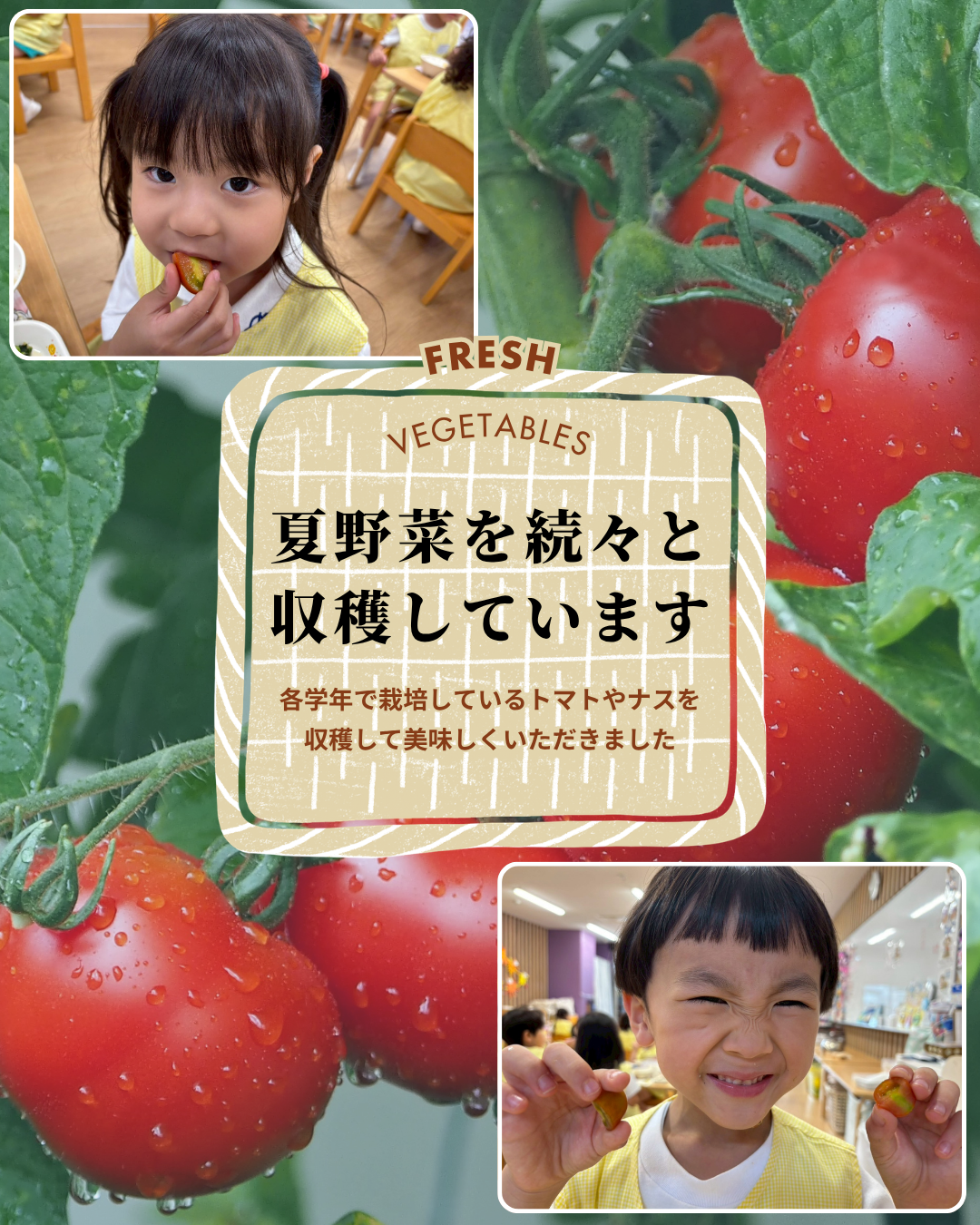 園ちょこ日記の写真