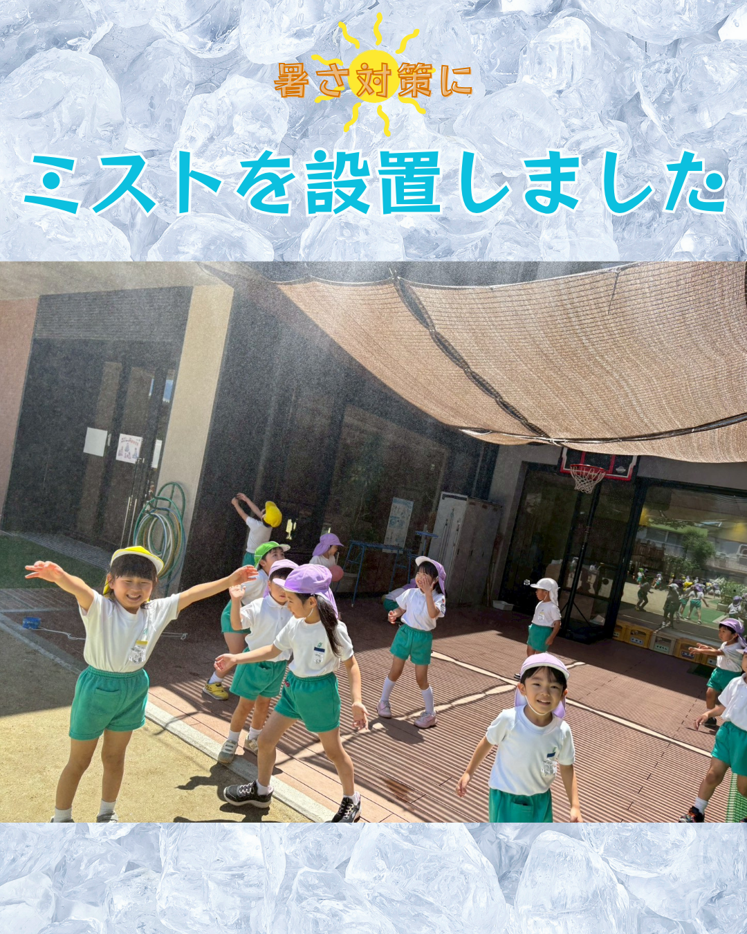園ちょこ日記の写真