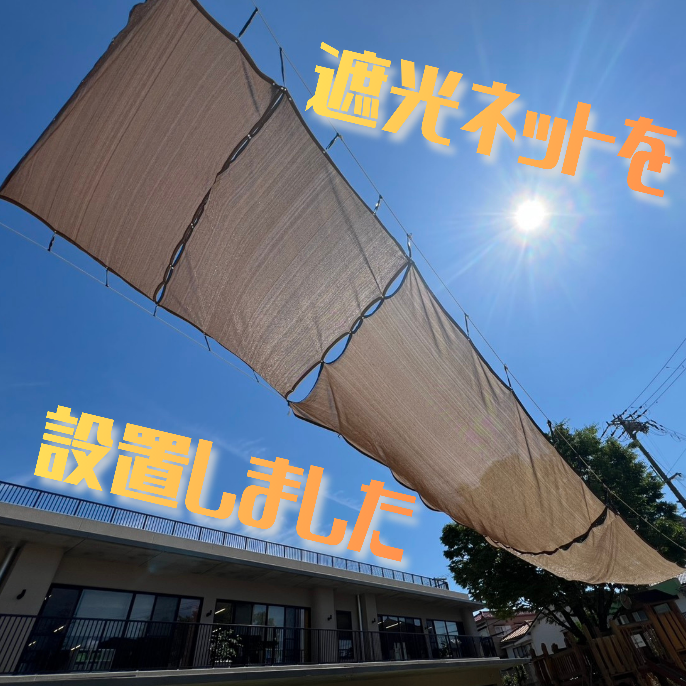 園ちょこ日記の写真