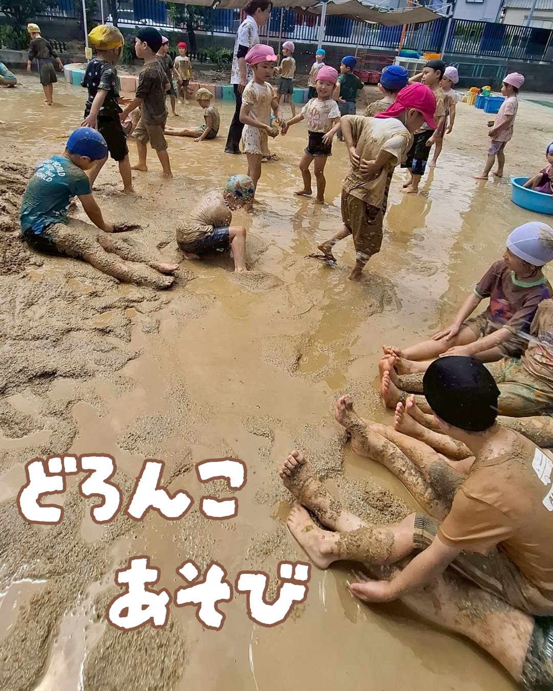 園ちょこ日記の写真