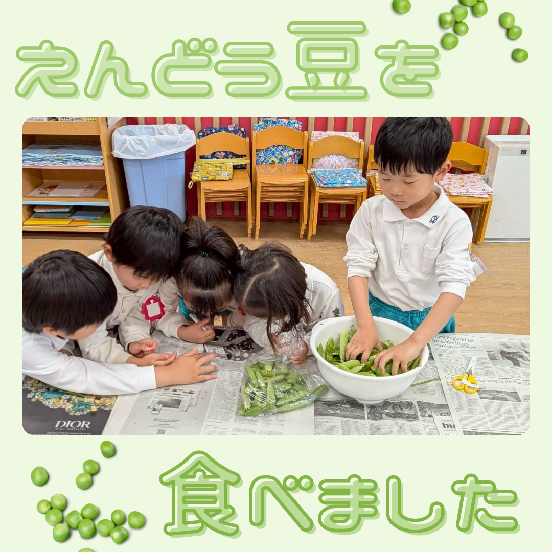 園ちょこ日記の写真