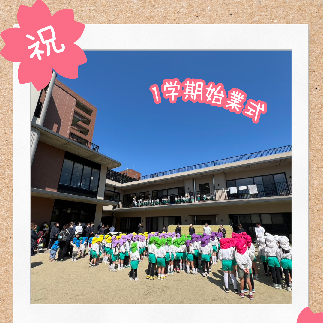 園ちょこ日記の写真